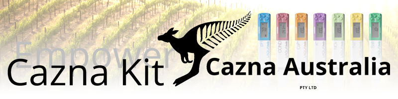 Cazna Kit Logo